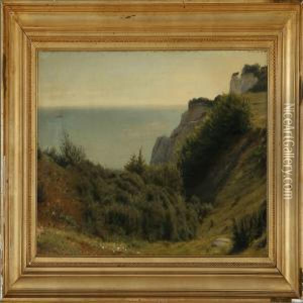 Summer Day At The Cliffs Of Stevns Oil Painting - Hermann Carl Siegumfeldt