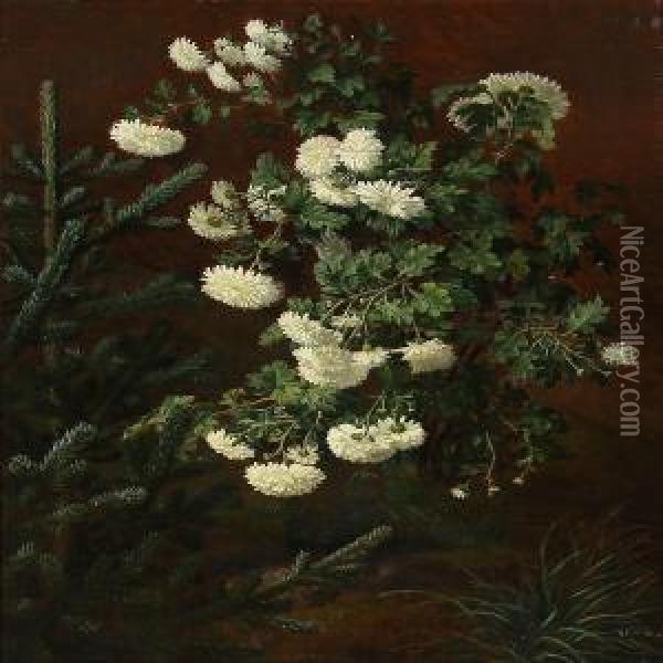 White Chrysanthemum Oil Painting - Otto Didrik Ottesen