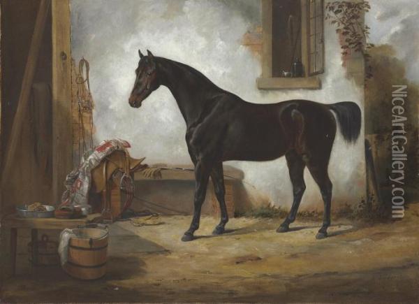 Portrait Of A Celebrated Trotting Horse Oil Painting - Arthur Fitzwilliam Tait