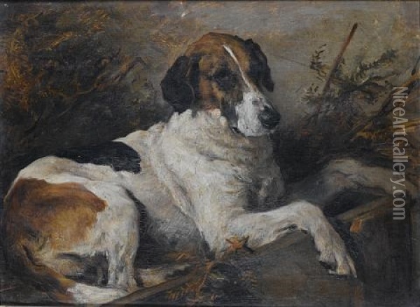A Study Of The Fox Hound Nick Oil Painting - John Emms