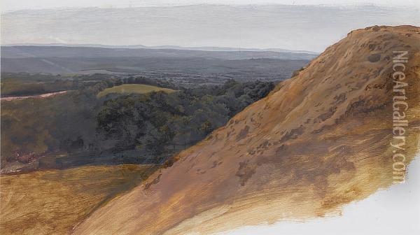 Box Hill, Surrey (recto); Landscape Study (verso) Oil Painting - William Linnell
