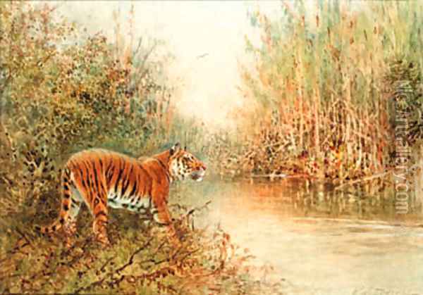 Tiger at the Water's Edge Oil Painting - William Woodhouse
