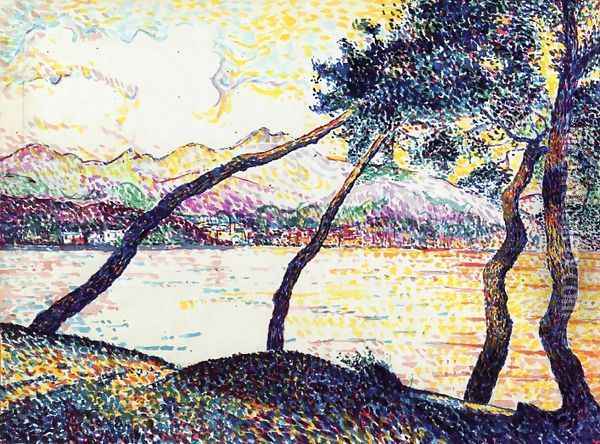 Umbrella Pines, Sainte-Maxime Oil Painting - Hippolyte Petitjean