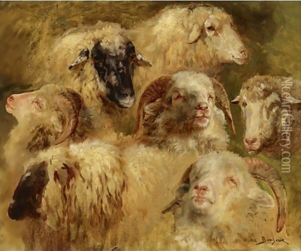Heads Of Sheep And Rams Oil Painting - Rosa Bonheur