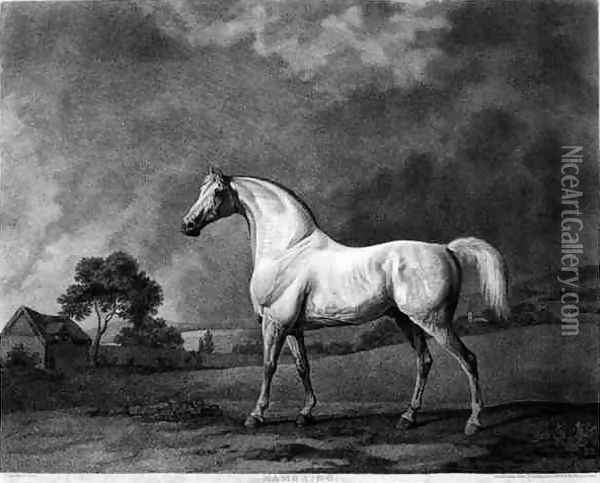 Mambrino, engraved by George Townley Stubbs 1756-1815 pub. 1794 Oil Painting - George Townley Stubbs