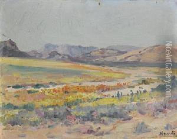 Yellow Flowers, Namaqualand Oil Painting - Hugo Pieter Naude