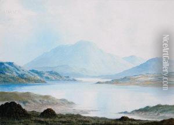 Near Ballinahinch, Connemara Oil Painting - Douglas Alexander