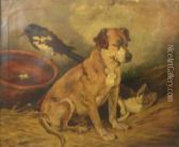A Dog With A Kitten And A Magpie In Oil Painting - John Emms