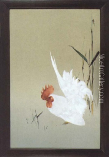 Hahn In Weisem Federkleid Mit Hochgestellten Schwanzfedern Oil Painting - Namikawa Sosuke