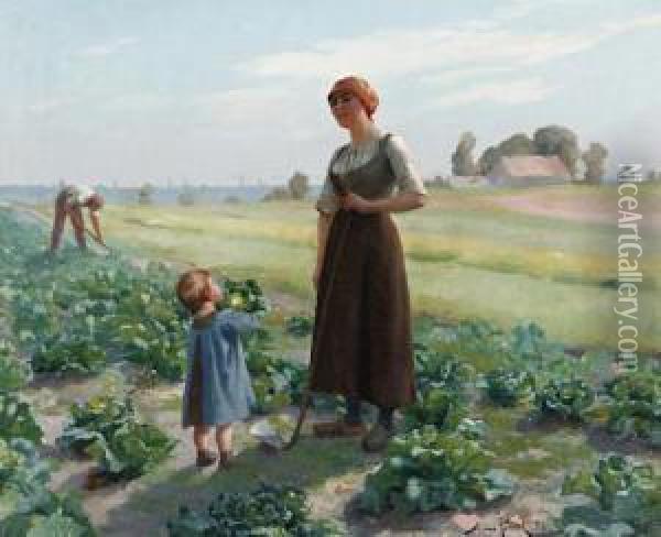 The Lettuce Patch Oil Painting - Aime Perret