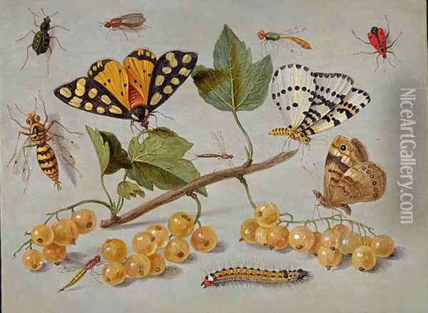 Butterflies and Insects c. 1655 Oil Painting - Jan van Kessel