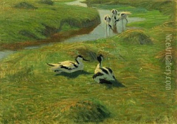 Scenery With Pied Avocets Oil Painting - Vilhelm Theodor Fischer