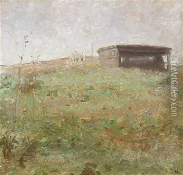 Field Scape With A Shet Oil Painting - Julius Paulsen