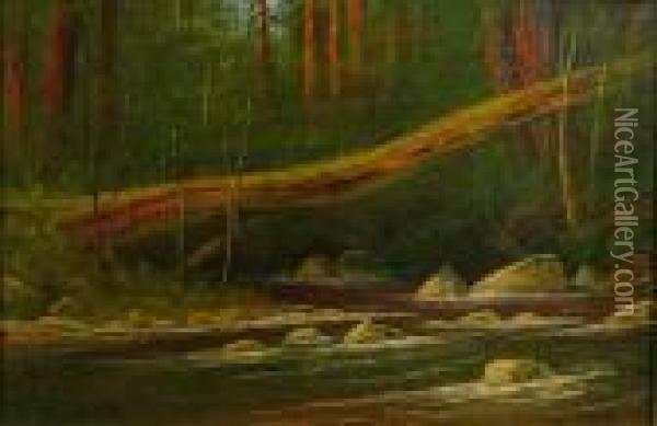 The Fallen Maple, Sur Ranch, Monterey, 1920 Oil Painting - James Everett Stuart