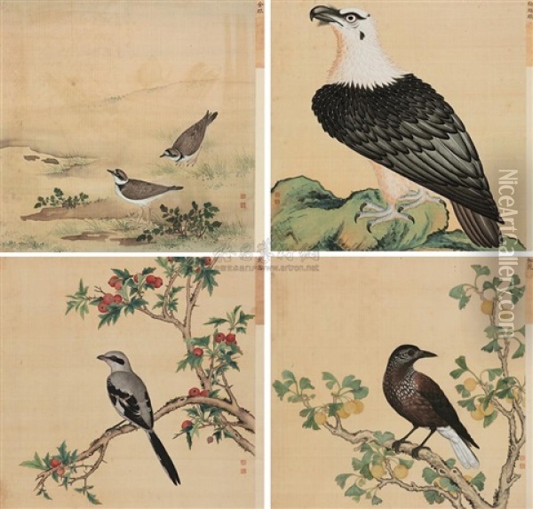Album Of Birds (4 Works) Oil Painting -  Jiang Tingxi