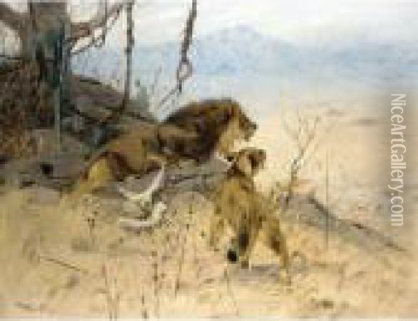 Lowe Und Lowin Erspahen Eine Zebraherde (lion And Lioness Stalking A Zebra Herd) Oil Painting - Wilhelm Kuhnert