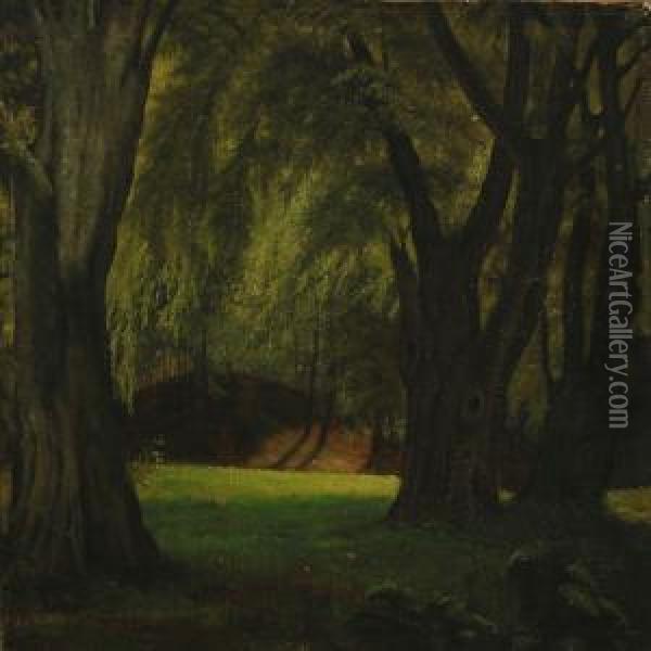 Forest Scenery Oil Painting - David Monies