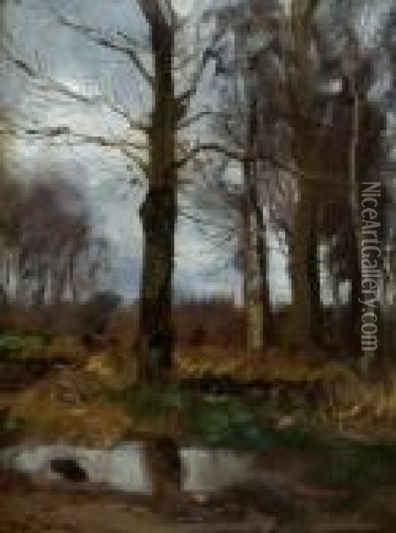 View Of A Forrest Oil Painting - Willem George Fred. Jansen