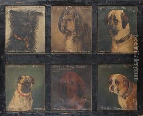 Twelve Dogs Comprising: 'black 
Prince', Scotch Terrier; 'old Thunder'; 'norah'; 'max'; 'empress'; 
'puff'; Scotch Terrier 'tiny'; Italian Greyhound 'fly'; Mount St. 
Berrnard 'waldo'; Dandie Dinmont 'crafty'; King Charles Spaniel 
'prince'; Dandie Di Oil Painting - Edwin Frederick Holt