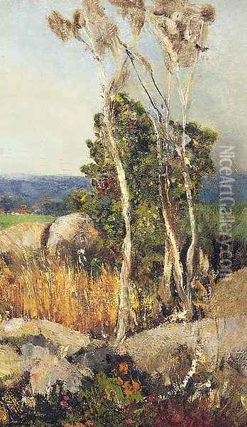 Trees And Boulders In An Extensive Landscape Oil Painting - Adolfo Tommasi