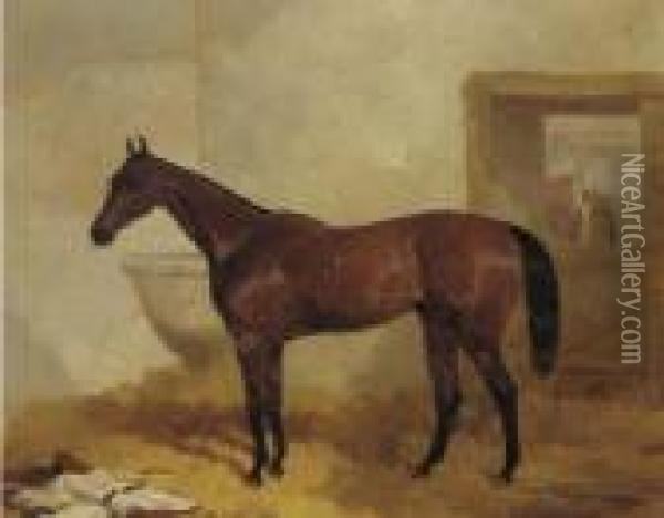 A Bay Racehorse In A Stable Oil Painting - Harry Hall