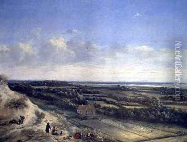 View of Haarlem from the Dunes Oil Painting - Jan van der Meer
