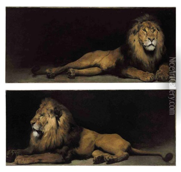 Reclining Lions (pair) Oil Painting - Aime Nicolas Morot
