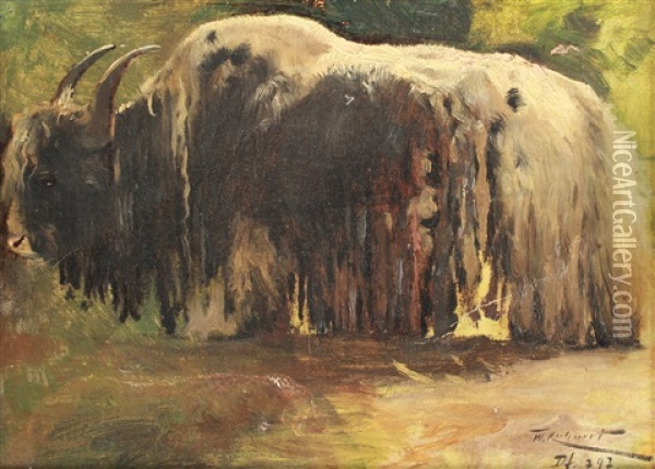 Yak Oil Painting - Wilhelm Friedrich Kuhnert