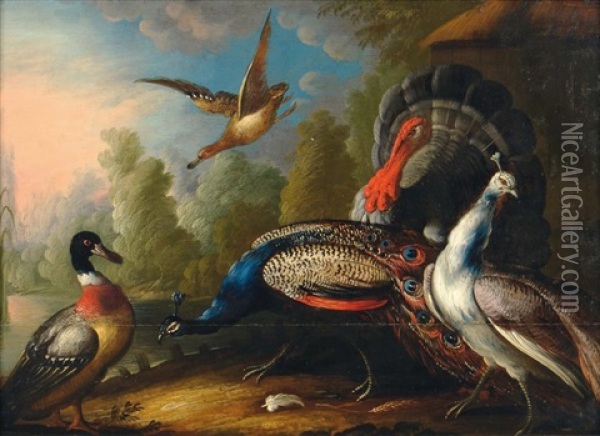 Oiseaux Pres D'un Lac Oil Painting - Giovanni (Crivellino) Crivelli