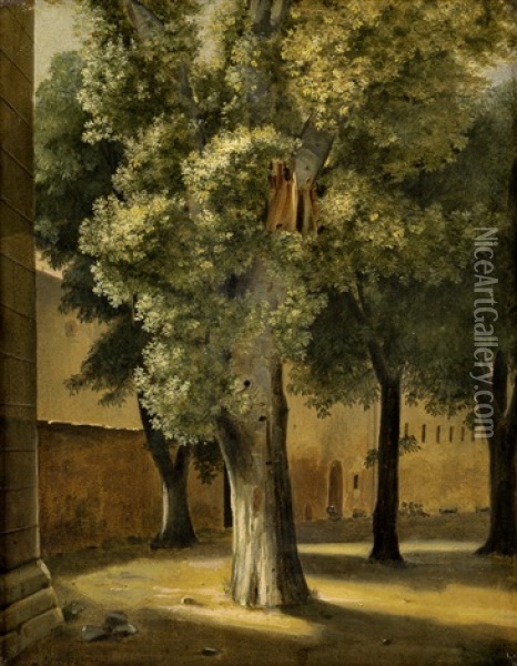 Baumstudien Im Klostergarten Von Procida Oil Painting - Ernst Meyer