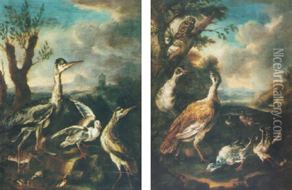 Oiseaux D'eau Dans Un Paysage Oil Painting - Angelo Maria (Crivellone) Crivelli