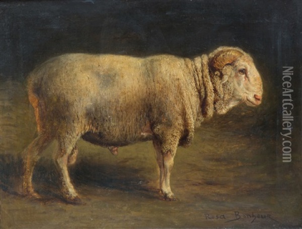 A Study Of A Ram Oil Painting - Rosa Bonheur