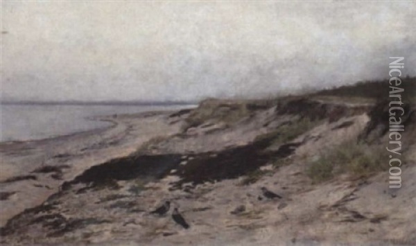 Krager Pa Stranden Oil Painting - Wilhelm Holter