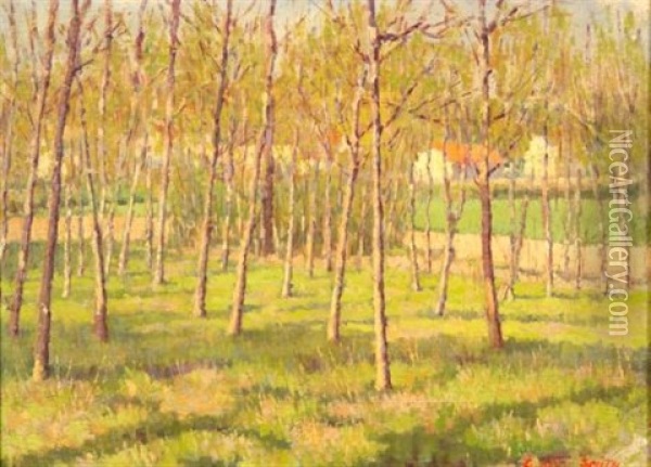 Grove Of Trees Oil Painting - Elmer Boyd Smith