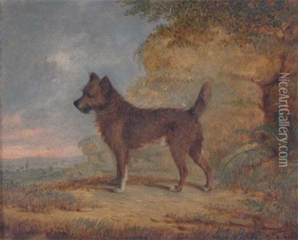 Terrier In A Landscape Oil Painting - E. Brown