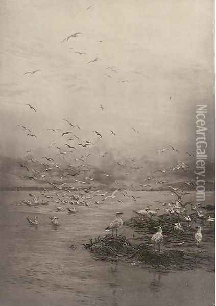Gulls. Looking towards Cowes from the Hamble River Oil Painting - William Lionel Wyllie