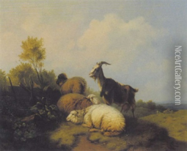 Schafe Und Ziege Auf Der Weide Oil Painting - Wilhelm Melchior