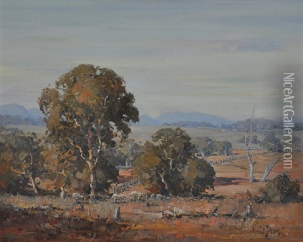 Canowindra Landscape Oil Painting - Robert Johnson