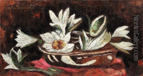 Flori De Nufar Oil Painting - Octav Bancila