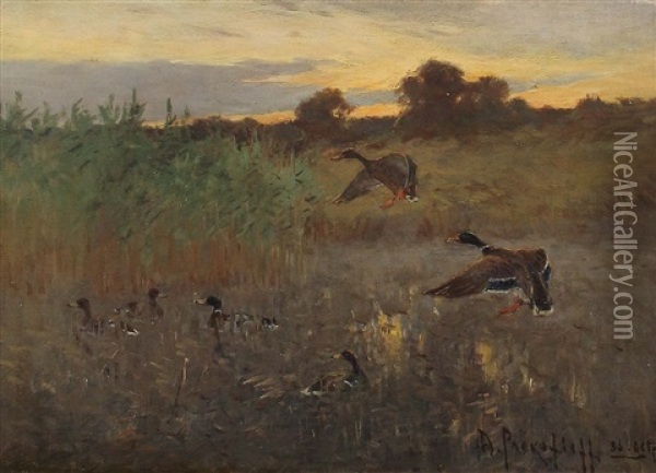 Wildenten In Moorlandschaft Oil Painting - Dimitri Von Prokofiev
