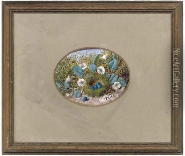 Convolvulus Beside A Birds Nest,
 On A Mossy Bank; And A Birds Nest With Eggs, On A Mossy Bank Oil Painting - William Cruickshank