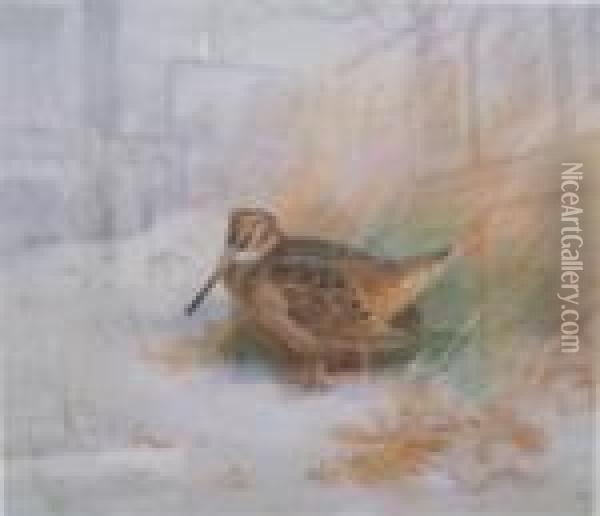 Pheasants In Snowy Landscape Oil Painting - Archibald Thorburn