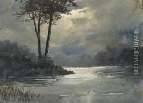 The River Falls; Moonlight On The Water; Geese On A Country Track Oil Painting - William Percy French