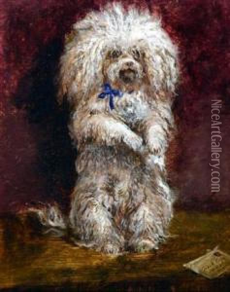 The Poodle Messenger Oil Painting - Celestino Turletti