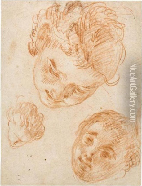 Studies Of Three Heads Oil Painting - Noel Nicolas Coypel