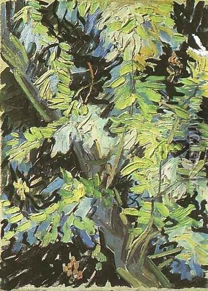 Blossoming Acacia Branches Oil Painting - Vincent Van Gogh
