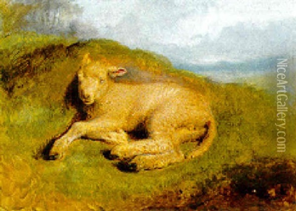 A Sleeping Lamb Oil Painting - Sir Edwin Henry Landseer