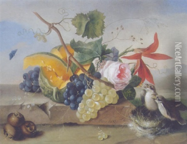 Blumen Und Fruchtestilleben Mit Vogelnest Oil Painting - Franz Xaver Petter