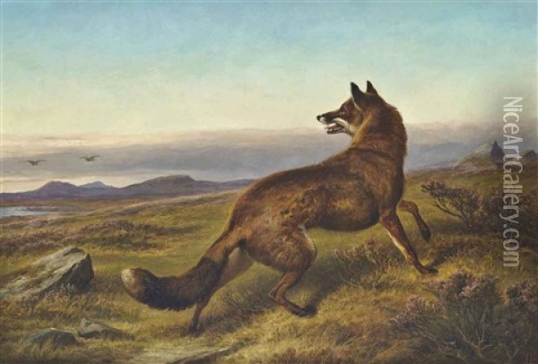 The Fox Oil Painting - Charles Jones