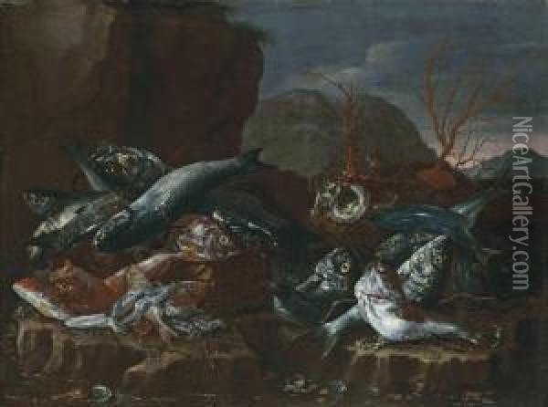 Fish, Shells And Coral On A Rocky Shore Oil Painting - Giuseppe Recco